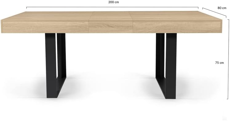 LARIAT Dining table for 6 to 10 people industrial style