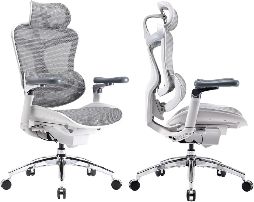 SIHOO Doro C300 Pro Ergonomic Office Chair with 6D Ultra-Soft Armrests