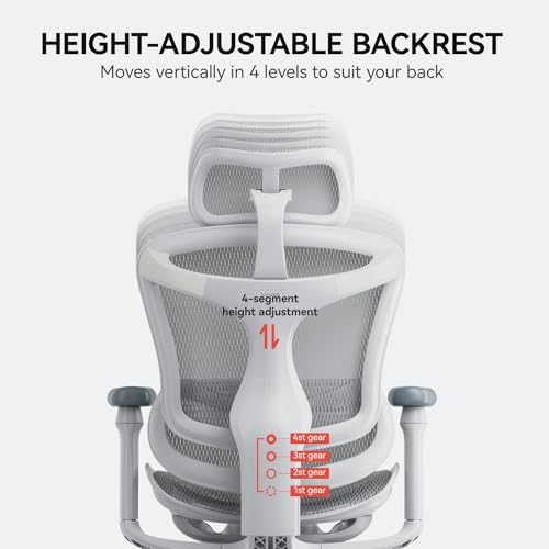 SIHOO Doro C300 Ergonomic Office Chair with Ultra Soft 3D Armrests