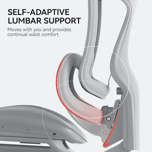 SIHOO Doro C300 Ergonomic Office Chair with Ultra Soft 3D Armrests