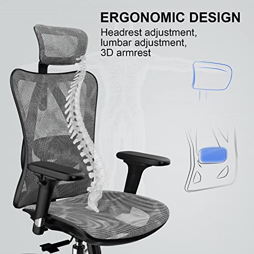 SIHOO Ergonomic Office Chair