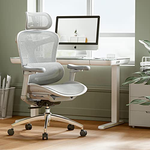 SIHOO Doro C300 Ergonomic Office Chair with Ultra Soft 3D Armrests