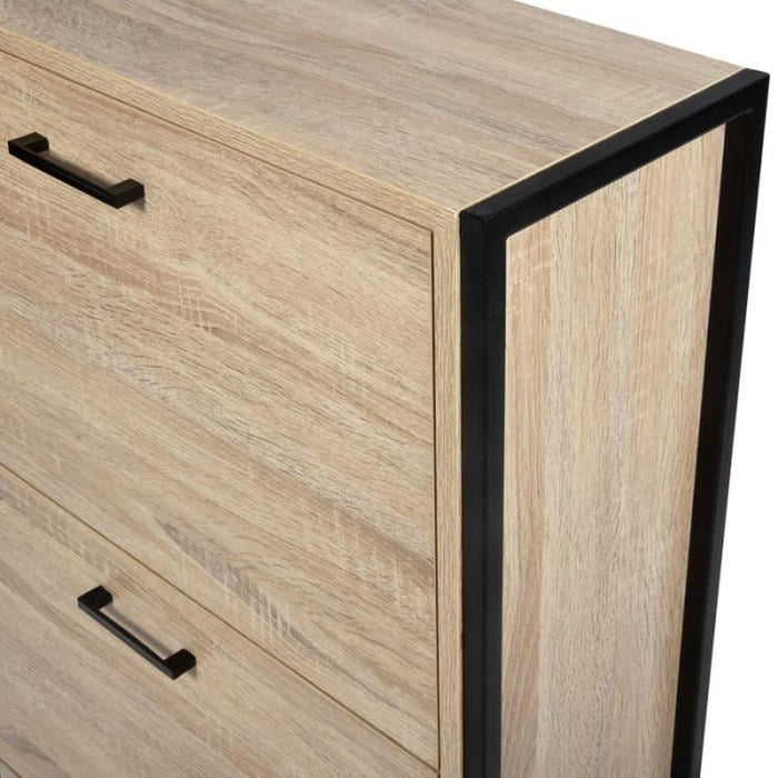 LUISA Industrial Design Shoe Cabinet