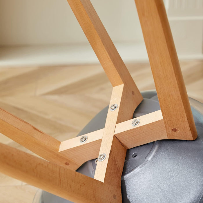 SOFIA Transparent Scandinavian Dining Chairs