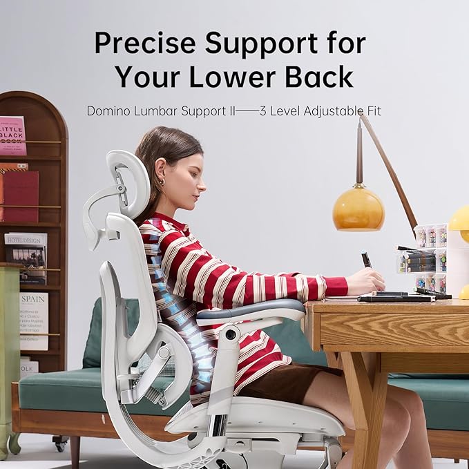 SIHOO Doro C300 V2 Ergonomic Office Chair