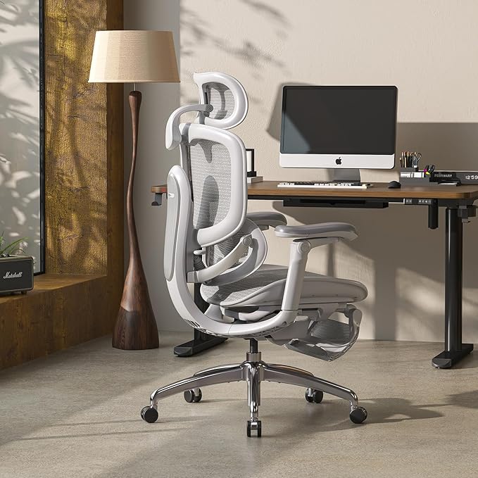 SIHOO Doro C300 V2 Ergonomic Office Chair