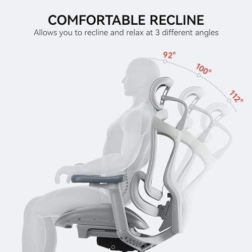 SIHOO Doro C300 Ergonomic Office Chair with Ultra Soft 3D Armrests