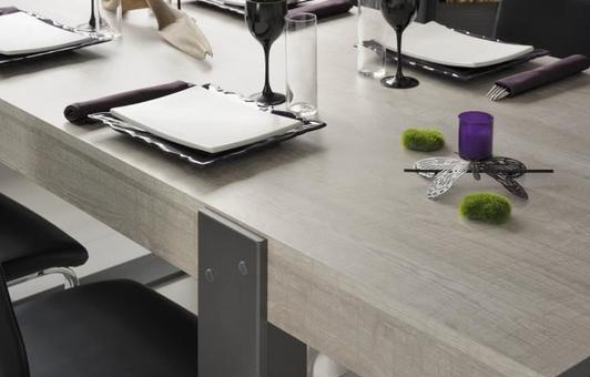 LARIAT Dining table for 8 to 10 people industrial style - My Discount Malta