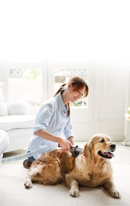 Dyson pet on sale groomer